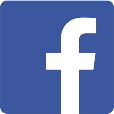 facebook-logo that links to Bauke Foundation on Facebook